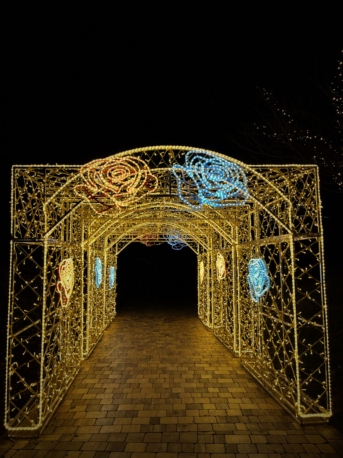 Eis-Greissler — rose tunnel